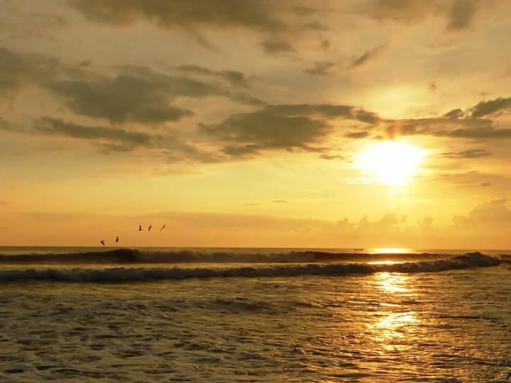 Eco-Hotel Playa Quilombo Las Lisas Eksteriør billede