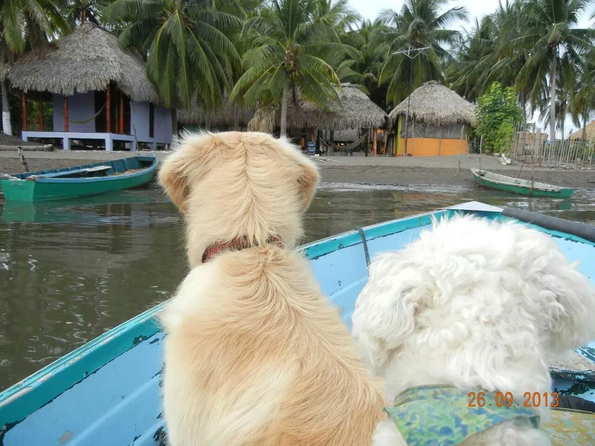 Eco-Hotel Playa Quilombo Las Lisas Eksteriør billede